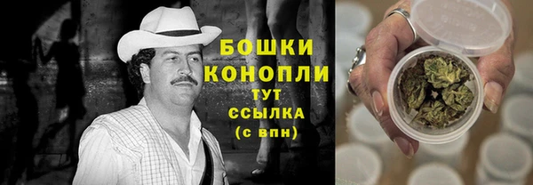 стаф Бронницы