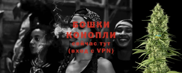 стаф Бронницы