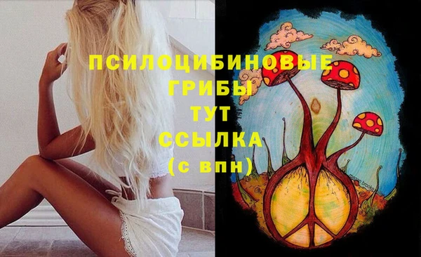 крисы Бородино
