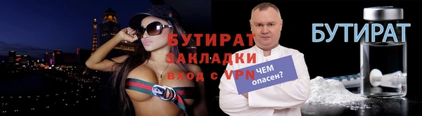 крисы Бородино